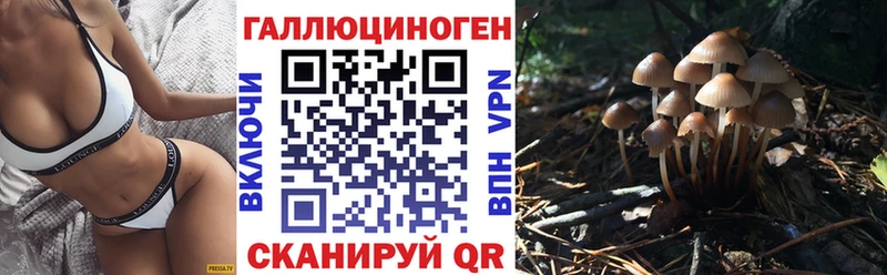 Купить где  Вязники  Псилоцибиновые грибы Cubensis 
